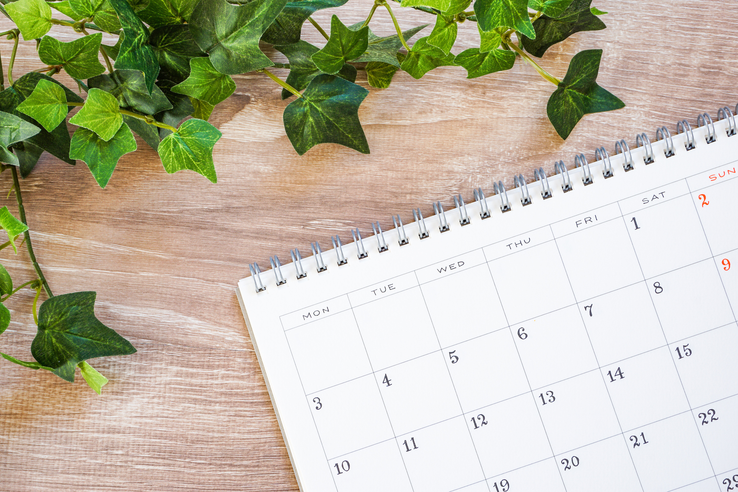 インビザラインで前歯のみを治療することはできる?期間・費用も解説-7