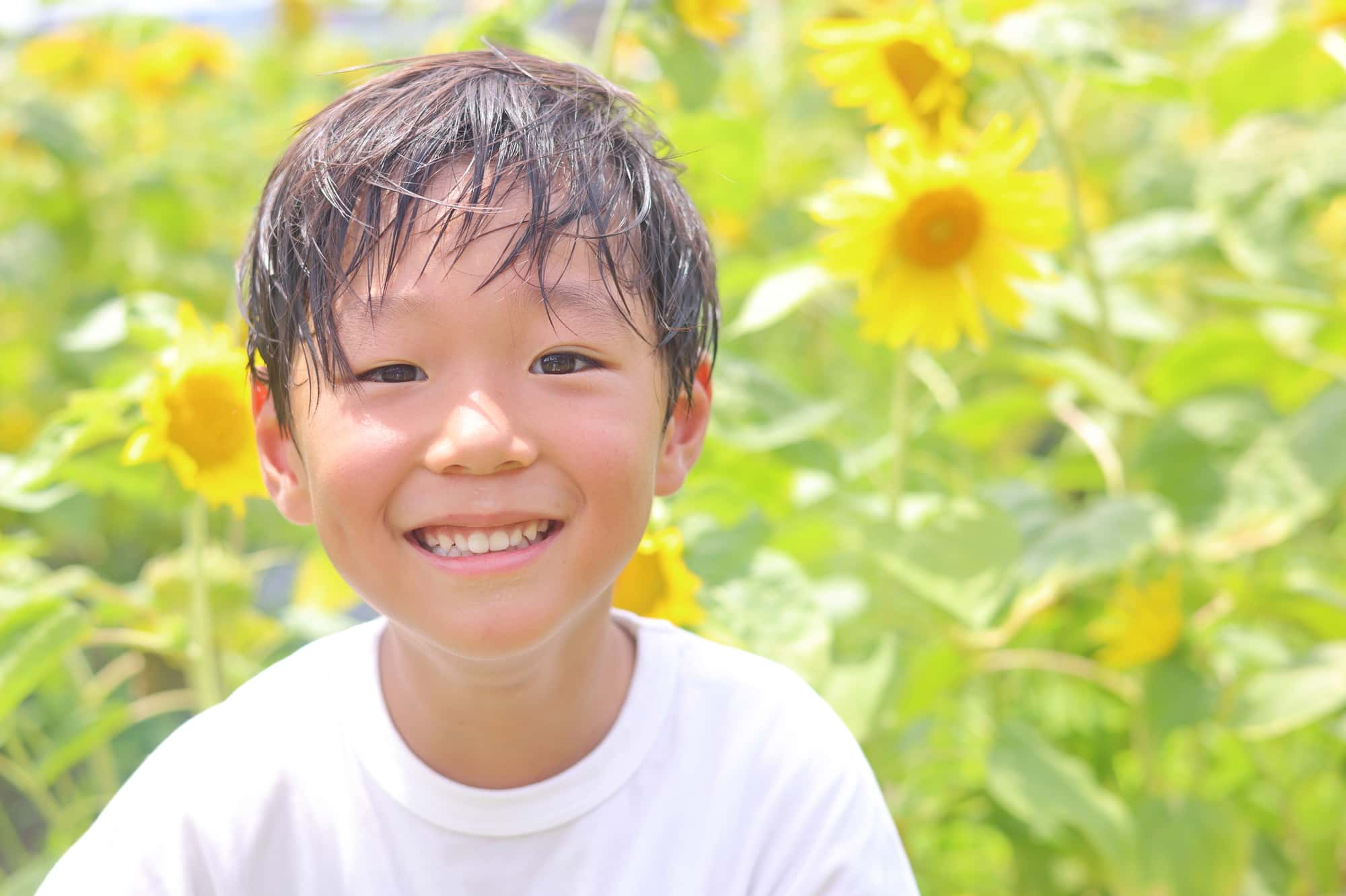  急速拡大装置で治療して綺麗な歯並びで笑う男の子